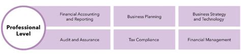 icaew exam results dates|ACA Professional Level exam results published .
